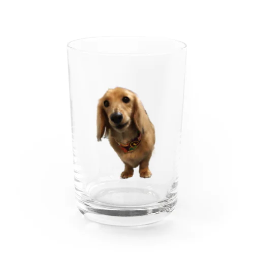 カニンヘンダックスのそる君 Water Glass