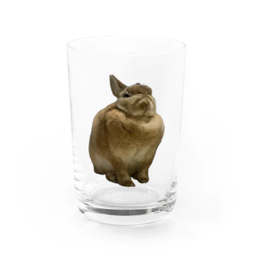 まんまるラムネちゃん Water Glass