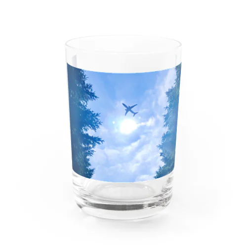 jet tourist Water Glass