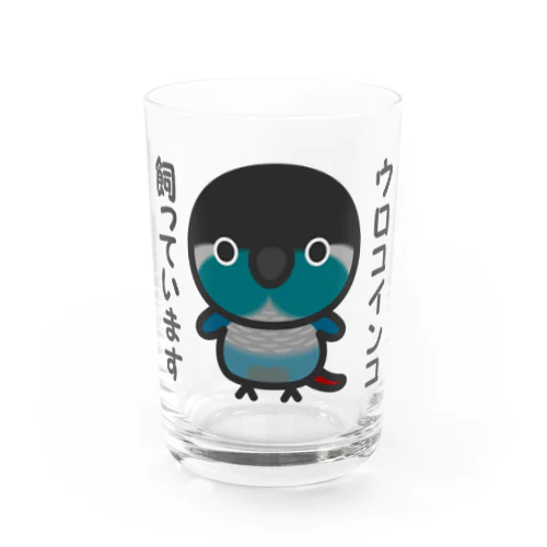 ウロコインコ飼っています（ブルー） Water Glass