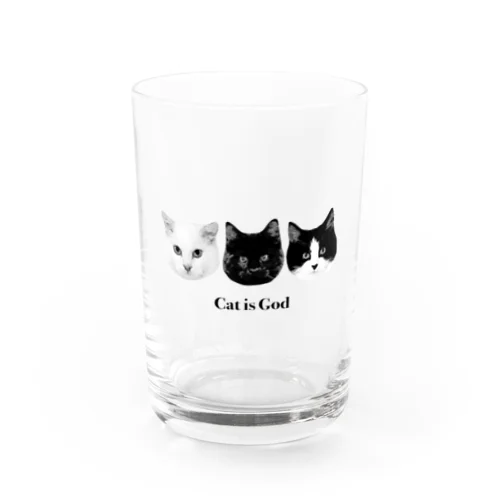 Cat is God Water Glass