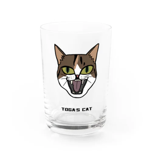 TOGA,s CAT Water Glass