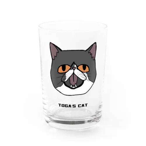 TOGAs  CAT Water Glass