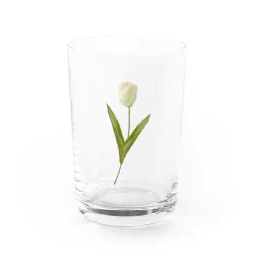 Cream Tulip グラス