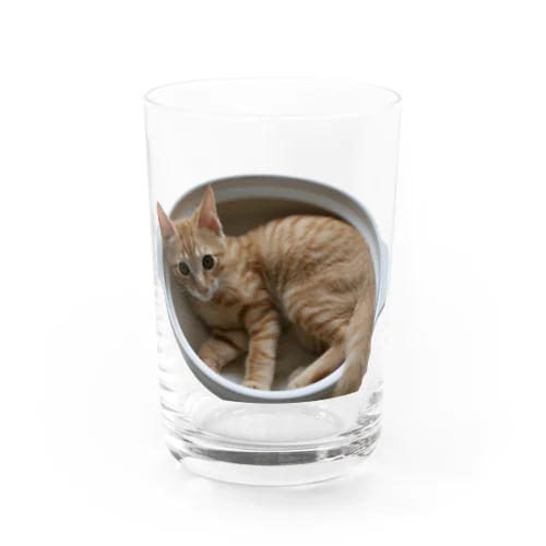 ねこ鍋 Water Glass