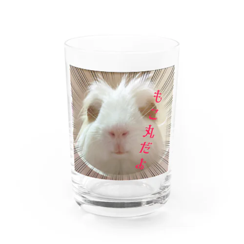 モルモットのもこ丸 Water Glass