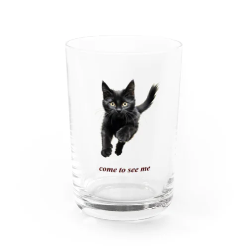 黒猫ちも Water Glass
