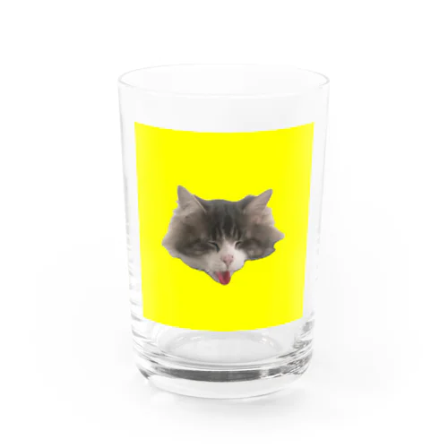 NEMUMI YW Water Glass