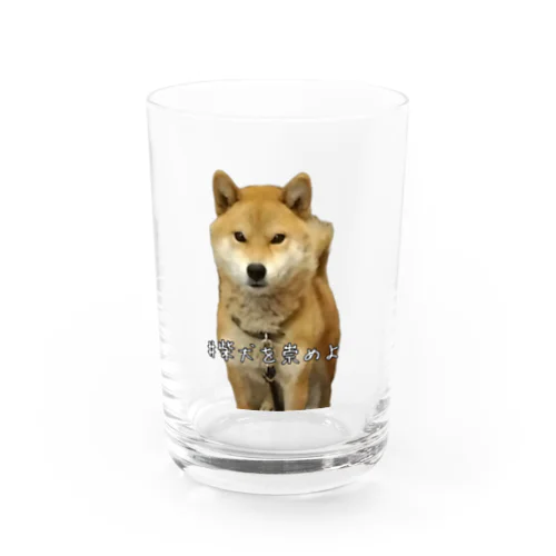 #柴犬を崇めよ うちのアイドル Water Glass