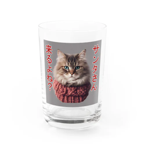 サンタを信じてる猫 Water Glass