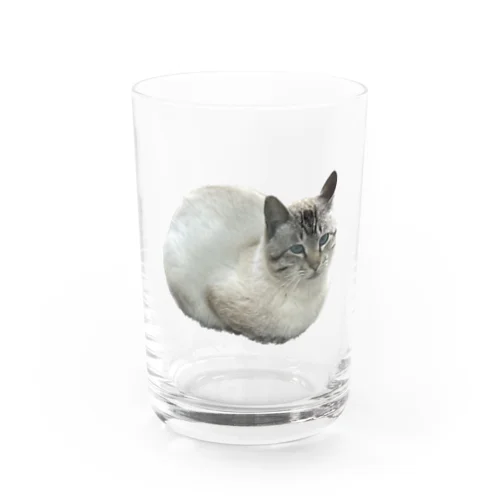 ワイの婆ちゃん家のネッコ Water Glass