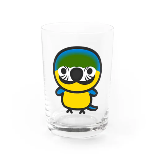 ルリコンゴウインコ Water Glass