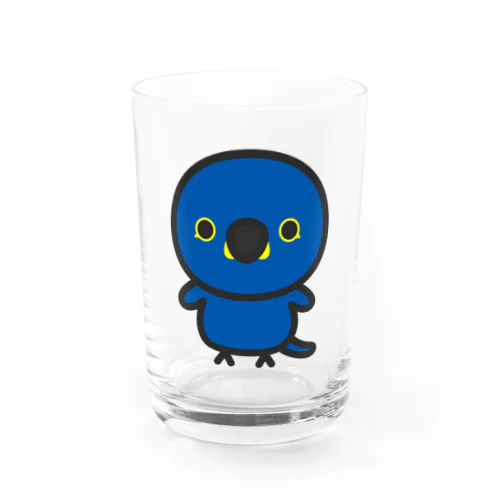 スミレコンゴウインコ Water Glass