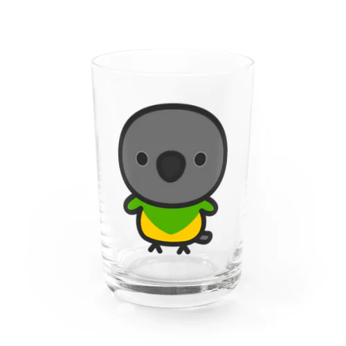 ネズミガシラハネナガインコ Water Glass