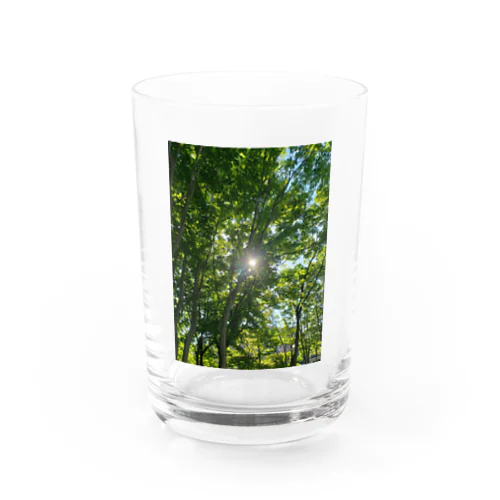 夏の森林 Water Glass