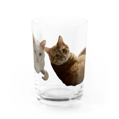 なんですか顔のぽっぺ Water Glass