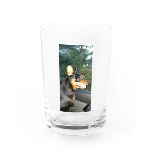 ミニチュアピンシャーオリジナルグッズ第一弾 Water Glass