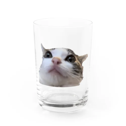 ちょぴ Water Glass