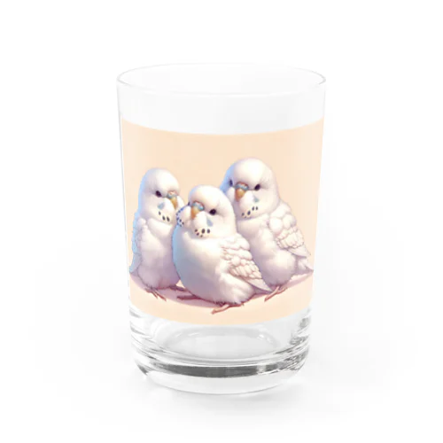 白いセキセイインコ Water Glass