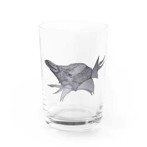 飛び出す換毛期ペンギン Water Glass