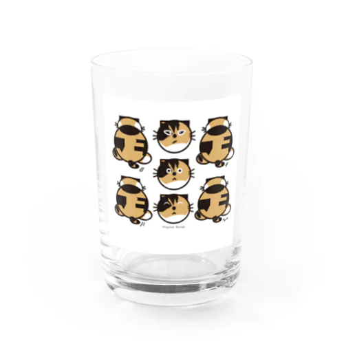 三毛猫は福の猫🐱 グラス