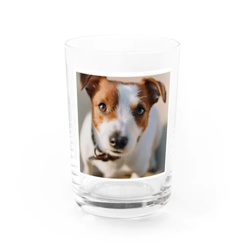 ジャックラッセルテリアグッズ Water Glass