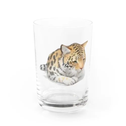 静かなかわいらしいヒョウ Water Glass