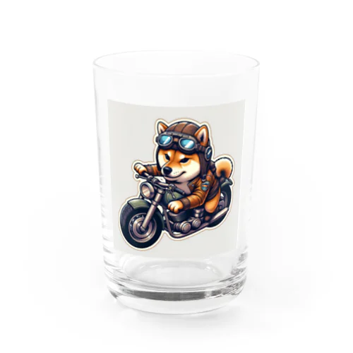 柴ライダーロードshiba31 Water Glass