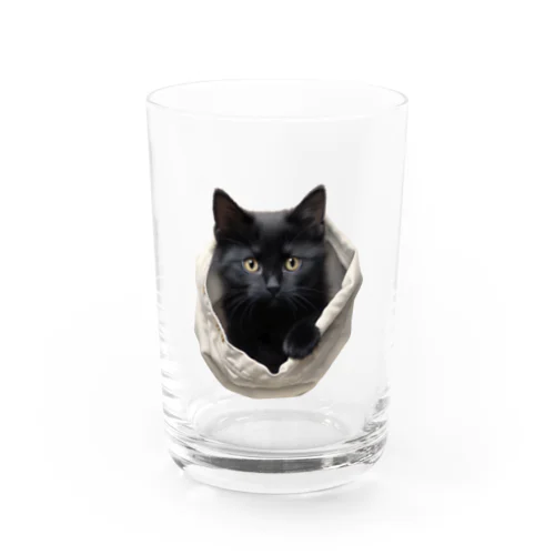 黒猫ちもinポケット Water Glass