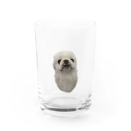 ペキニーズのかんつぁ(ピーナッツ型) Water Glass