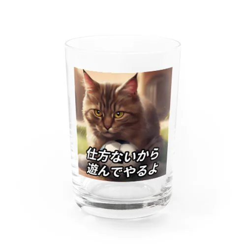 遊んでくれる猫 グラス