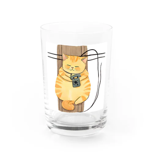 ブリティッシュショートヘアのドナちゃん Water Glass