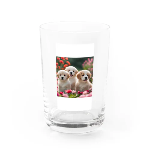 かわいい仔犬のグッズ Water Glass