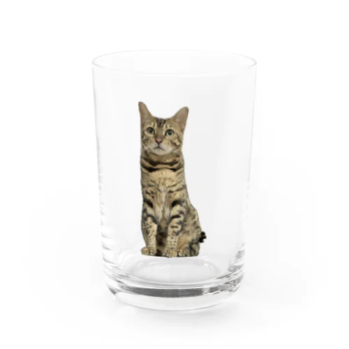 ごにゃモデル Water Glass