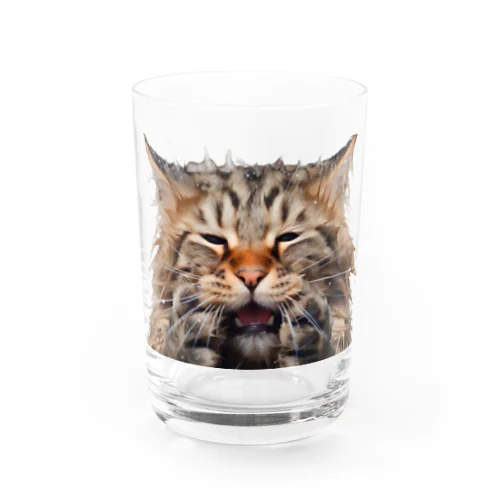 ずぶ濡れ猫 Water Glass