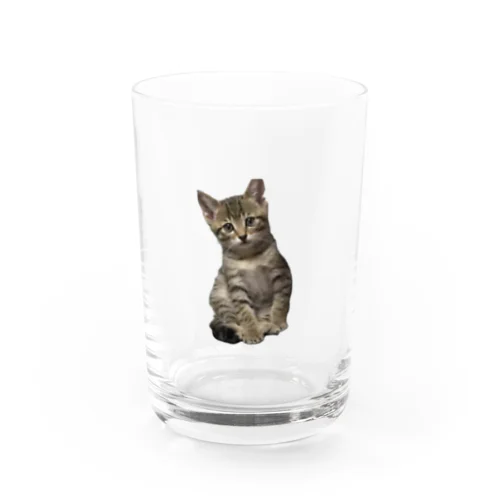 仔猫時代 Water Glass