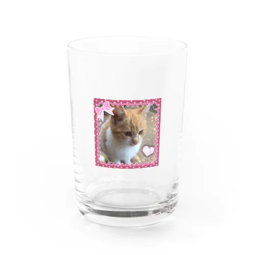 マシュマロ2 Water Glass