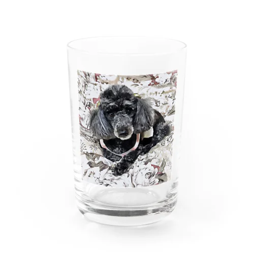 黒トイプーハナのグッズ Water Glass