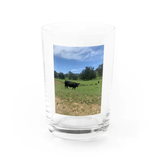 Farm Water Glass