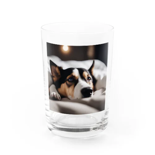 ぬくぬく犬生活 Water Glass