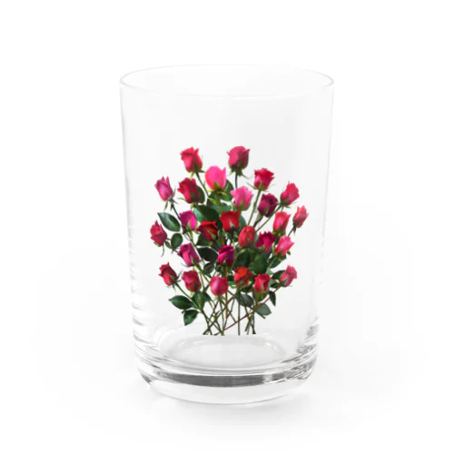 Redpink 26 Roses Water Glass
