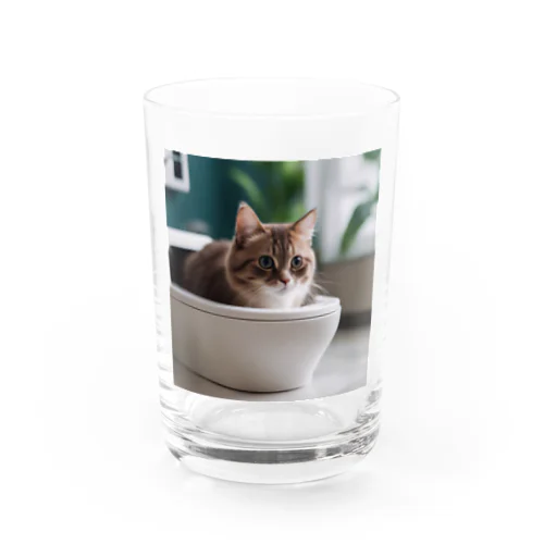 トイレに入るかわいいマンチカンのマカデミアナッツくん Water Glass