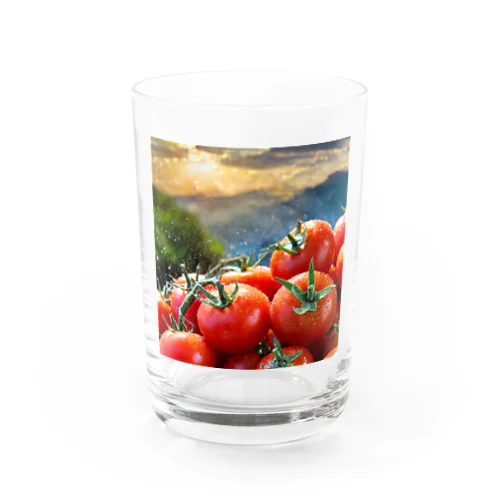 輝くトマト・スタイル Water Glass