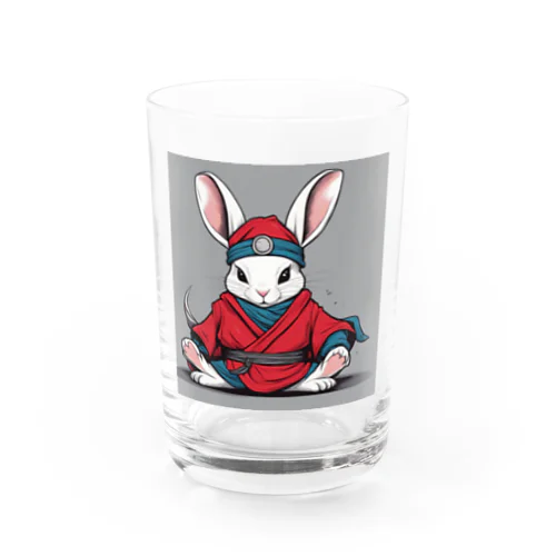 忍者うさぎ Water Glass