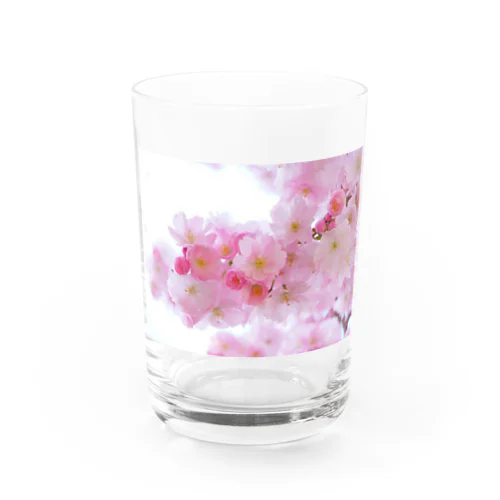 桜 Water Glass