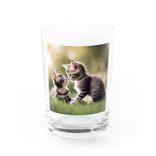 子猫の面倒を見る🐈 Water Glass