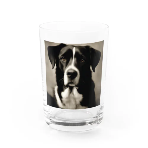 レトロでかわいい写真は、一匹の愛らしい犬 Water Glass