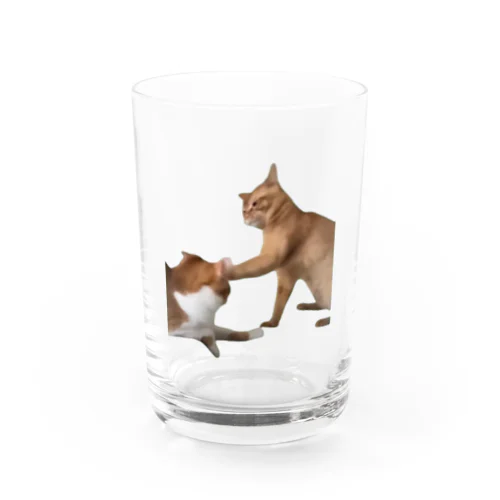 【猫ミーム】叩かれる猫と叩く猫 Water Glass