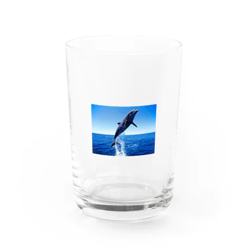 空飛ぶイルカ Water Glass