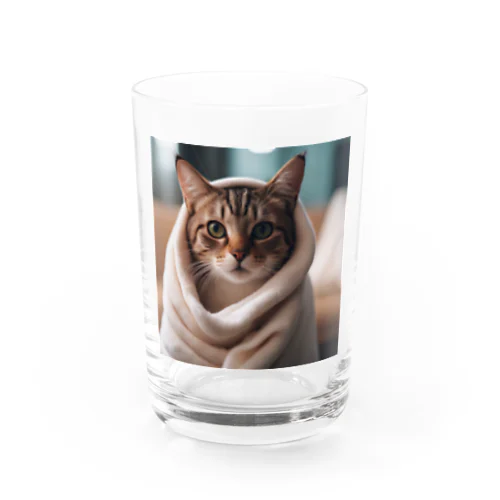 毛布猫 Water Glass